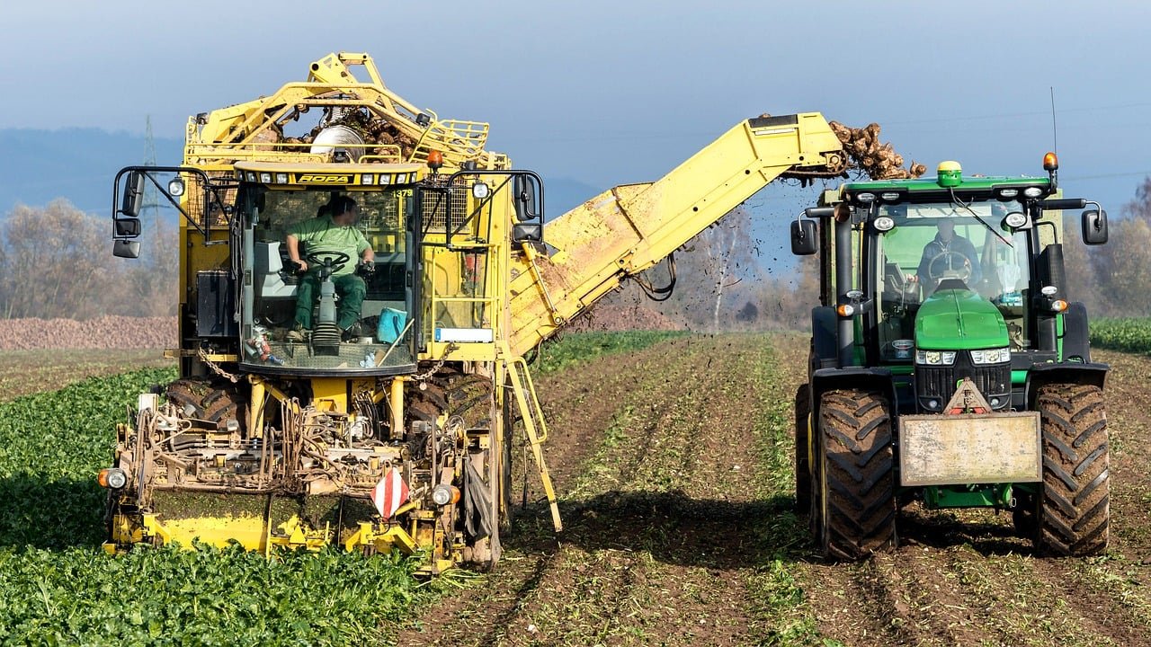 turnip-8266093_1280 agriculture land